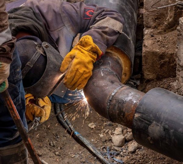 pexels-sejio402-27354189